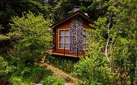 Los Pinos Cabins&Reserve